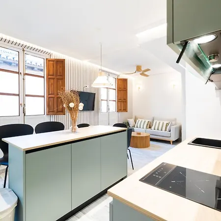 Apartamento Encantador Centro Granada